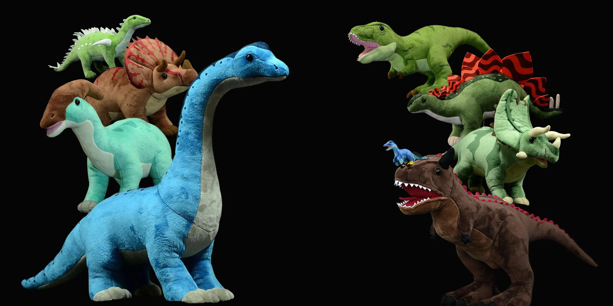 Welcome to Our Store